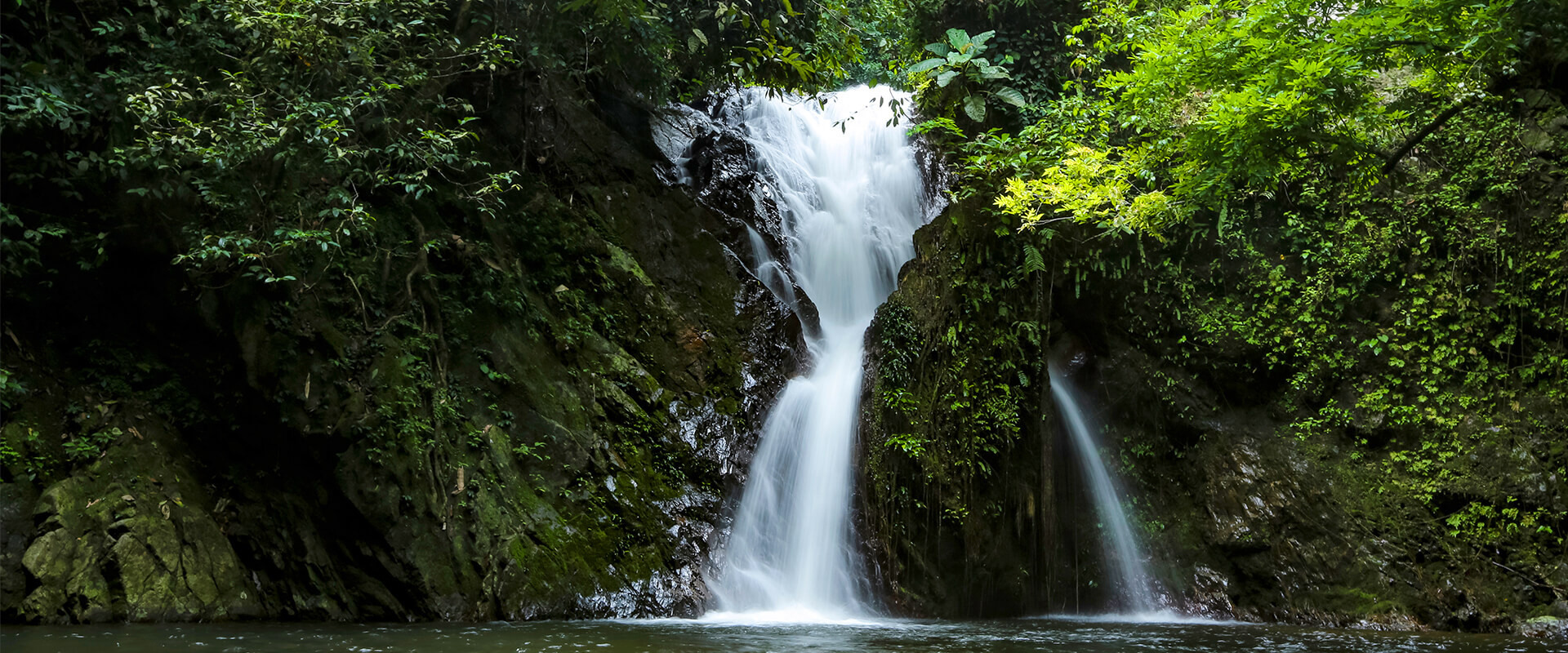 02 Belum Temenggor Rainforest